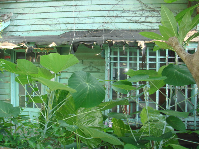 Japan forestry housing in Taipei 2