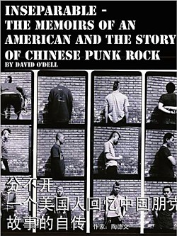 chinese punk rock
