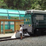 getting-married-by-an-old-train