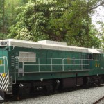 tai-po-diesel-train tai-po-diesel-train
