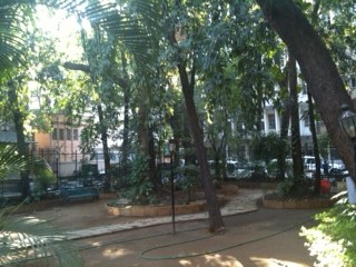 photo(12)