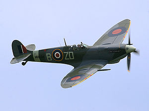 300px-Ray_Flying_Legends_2005-1